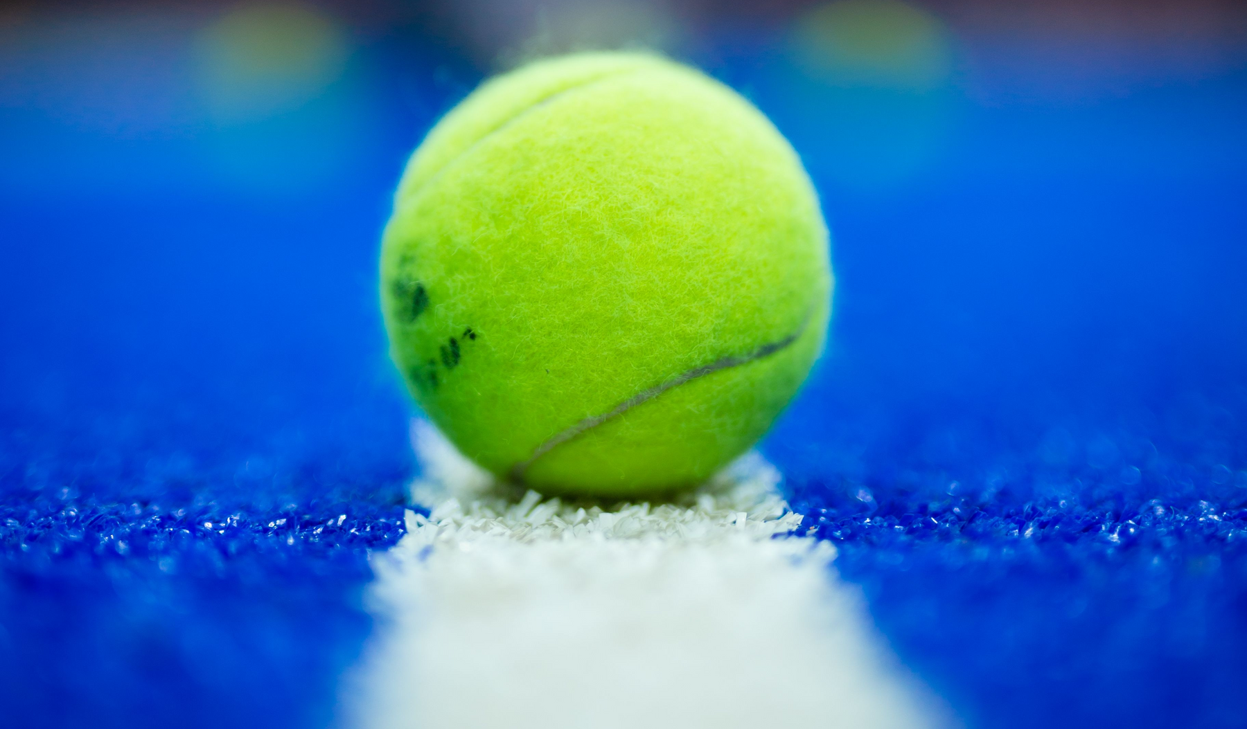 Padelball im Fokus, der auf der Linie eines Padelcourts liegt.